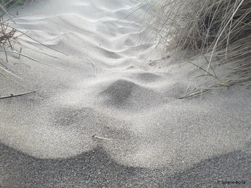 Dune de sable